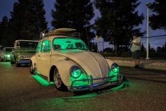 Fudail R' Beetle
