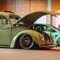 Nobby C' Beetle