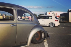 Moe' Beetle