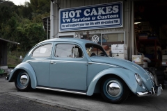 Masao H' Beetle
