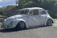 Marc M' Beetle