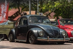 Shaun P' Beetle