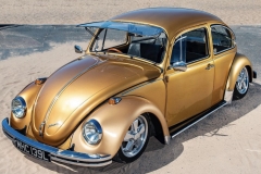 Jack G' Beetle