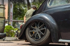 Shaun P' Beetle