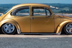 Jack G' Beetle