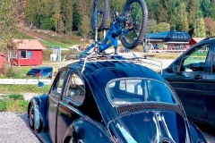 Andreas O' Beetle