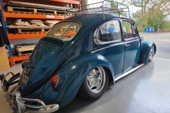 Craig D' Beetle