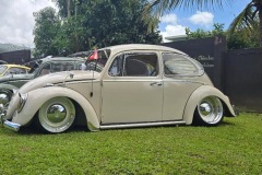 Samuel T' Beetle