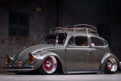 Chad W' Beetle