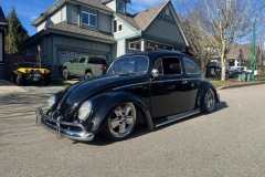 Minute P' Beetle