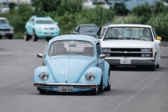 Yüji' Beetle