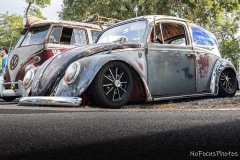 Tony A' Beetle