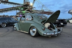 Oliver J' Beetle