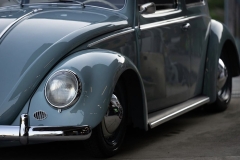 Masao H' Beetle