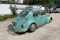 Unknown' Beetle