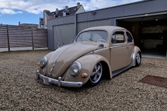 Kim C' 1955 Beetle