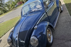 Joe F' Beetle