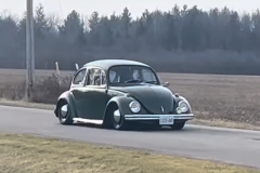 Jodie S' Beetle