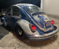 Teruyoshi Y' Beetle