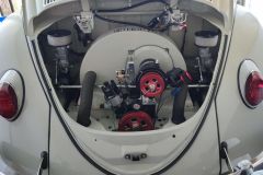 Eric F' Beetle