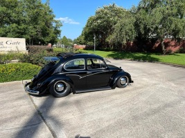 Wallace W' Beetle