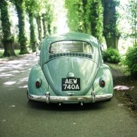 Dom W' 63 Beetle
