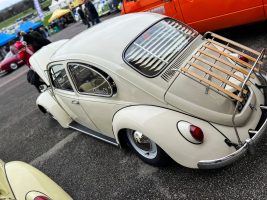 Unknown, Beetle