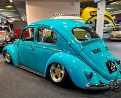 Spikes Built' Beetle