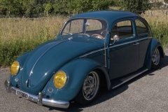 Lorenzo D' Beetle