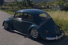 Lorenzo D' Beetle
