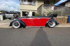 Mike A' Beetle