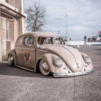 Jordi O' Oval Beetle