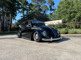 Wallace W' Beetle