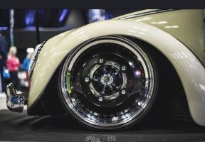 Nobby C' Beetle