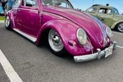 Pink Beetle