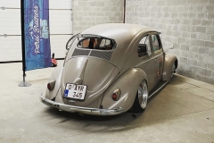 Jordi O' Oval Beetle