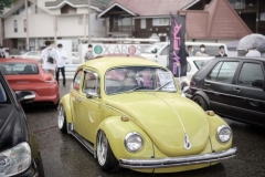 Masayoshi Y' Beetle