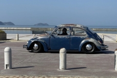 Teruyoshi Y' Beetle