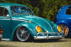 Joe C' Beetle