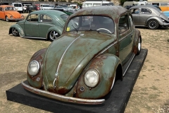 Joe C' Beetle