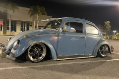 Adam P' Beetle