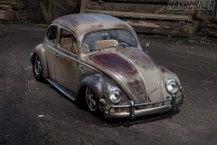 Andrew C' Beetle