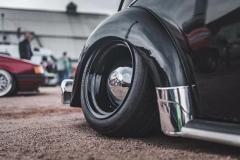 Wolfi' Beetle