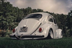 Pat H' Beetle