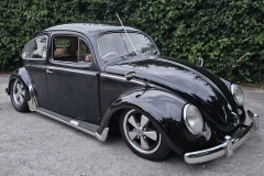 Nick G' Beetle