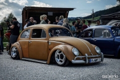 Lio' Beetle