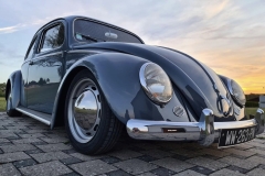 Cedric S' Beetle