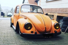 Unknown' Beetle