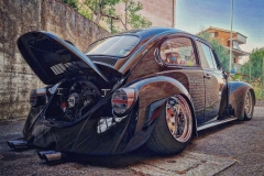 Matteo B' Beetle