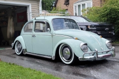 Brandon P' Beetle